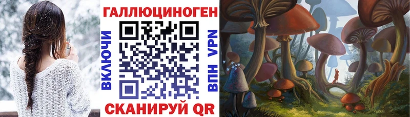 Галлюциногенные грибы Psilocybe  даркнет сайт  Серов 