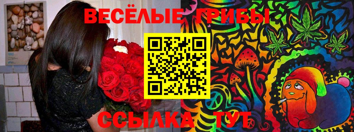 Серов  дарнет шоп  Вход с VPN  Псилоцибиновые грибы прущие грибы 